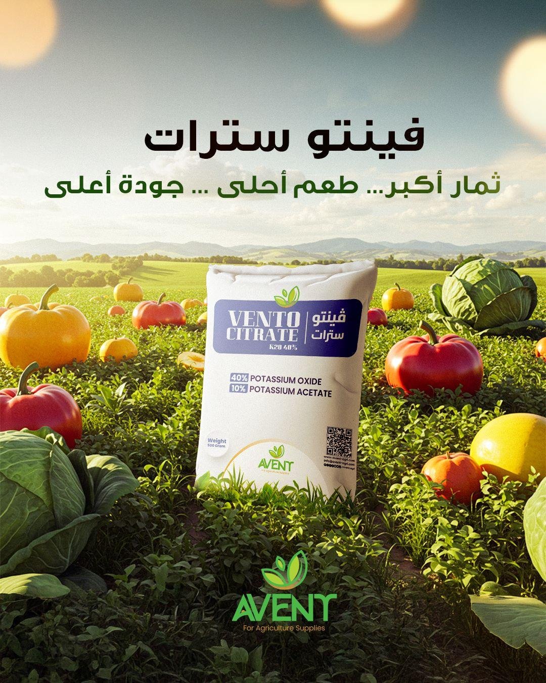 فينتو سترات