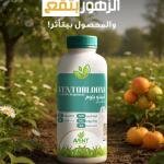 فينتو بلوم